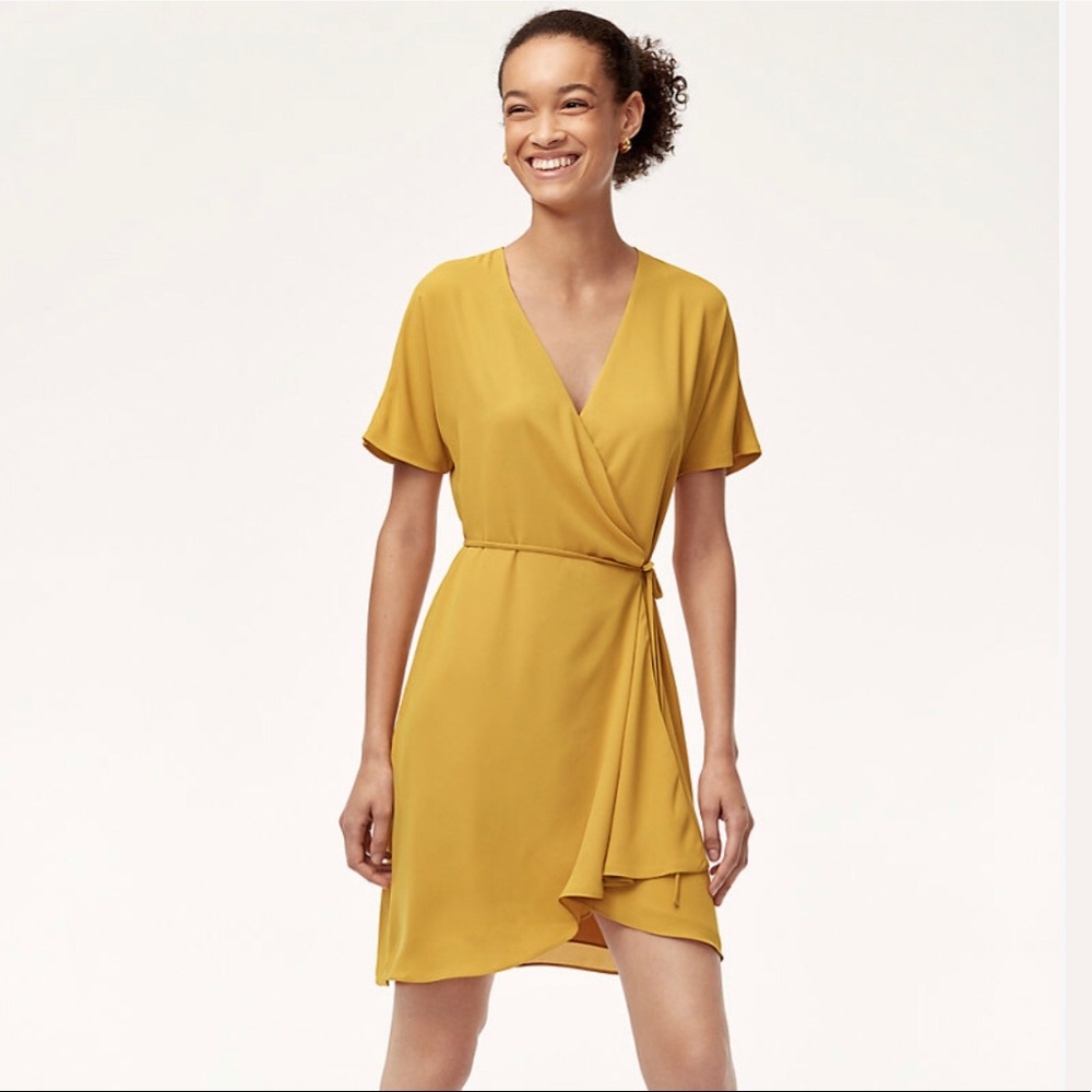 Aritzia Dress